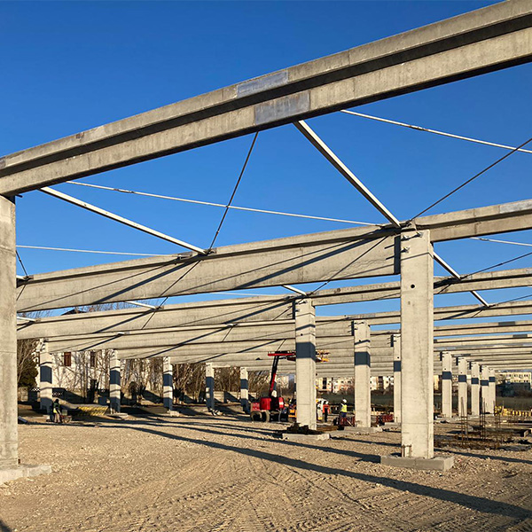 SW PROIECT DE SUCCES