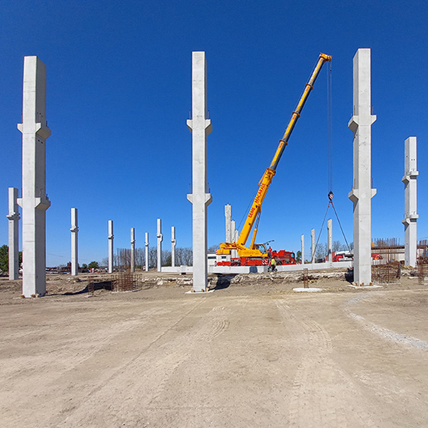 SW PROIECT DE SUCCES