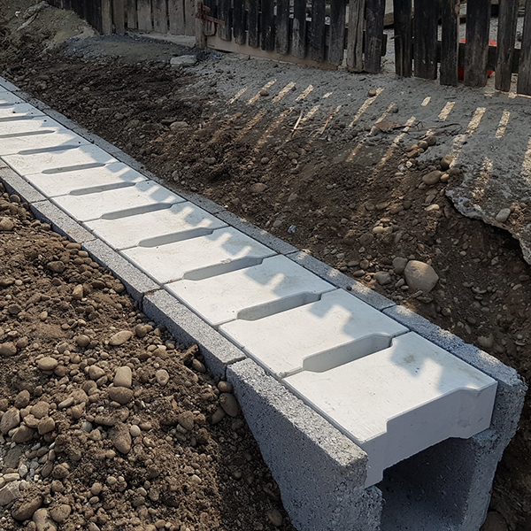 SW PROIECT DE SUCCES